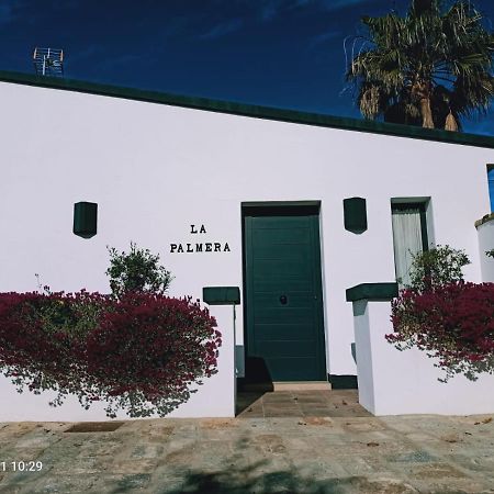 Casa La Palmera - Solo Familias Y Parejas Conil De La Frontera Exterior photo