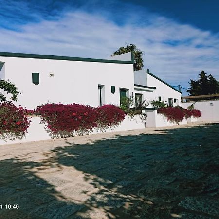 Casa La Palmera - Solo Familias Y Parejas Conil De La Frontera Exterior photo